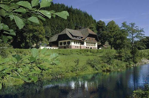 Hotel Restaurant Ochsenwirtshof Bad Rippoldsau-Schapbach Екстериор снимка